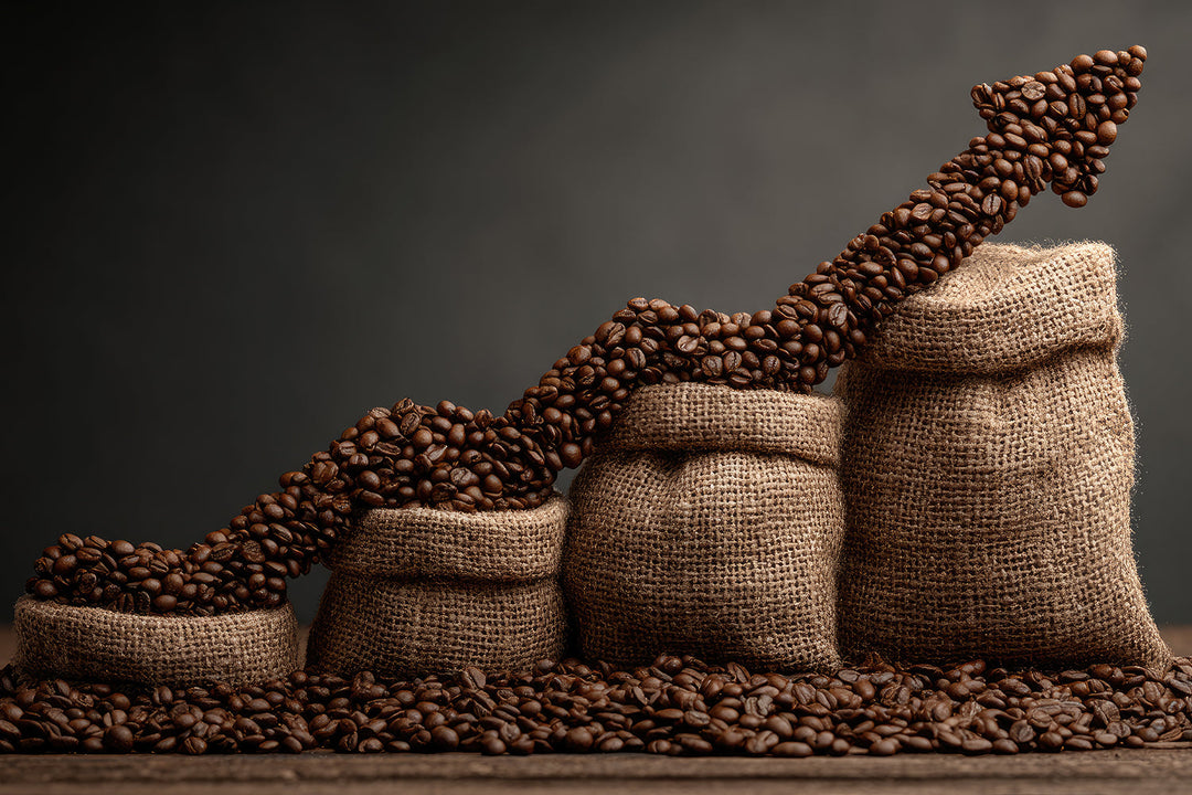 How to Combat Rising Coffee Costs with Espresso-Strength Concentrate