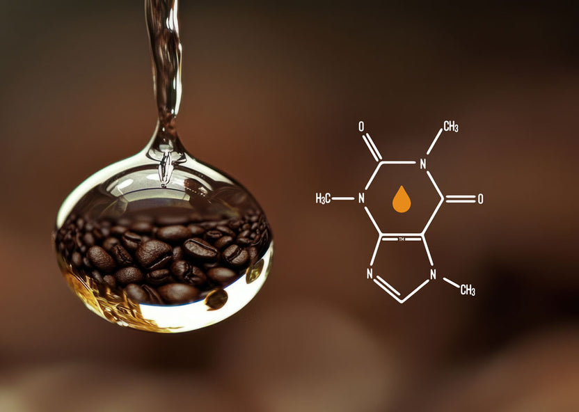 ColdPerk: Cold Brew System & Commercial Cold Brew Equipment