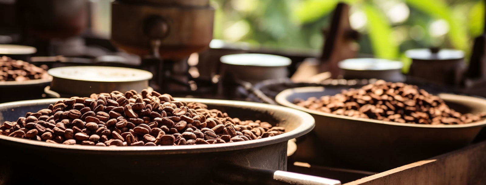 Image of coffee beans in scalable bowls